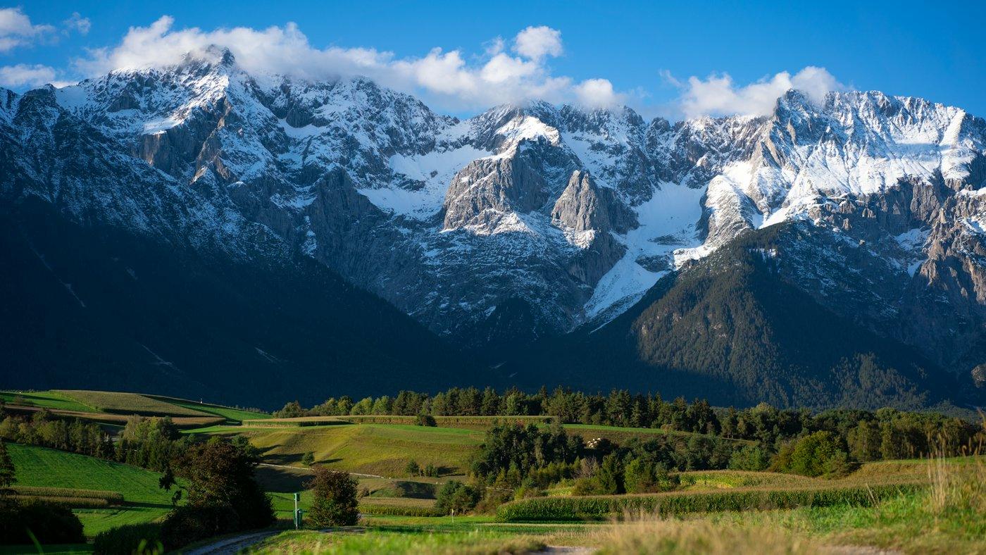 Grüne Almwiese vor schneebedeckten Bergen in Tirol